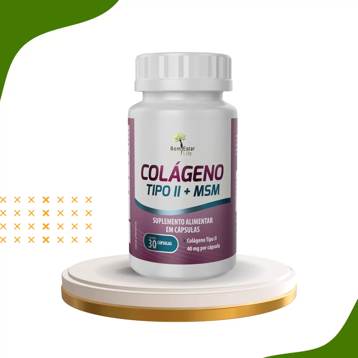 COLÁGENO  TIPO II + MSM