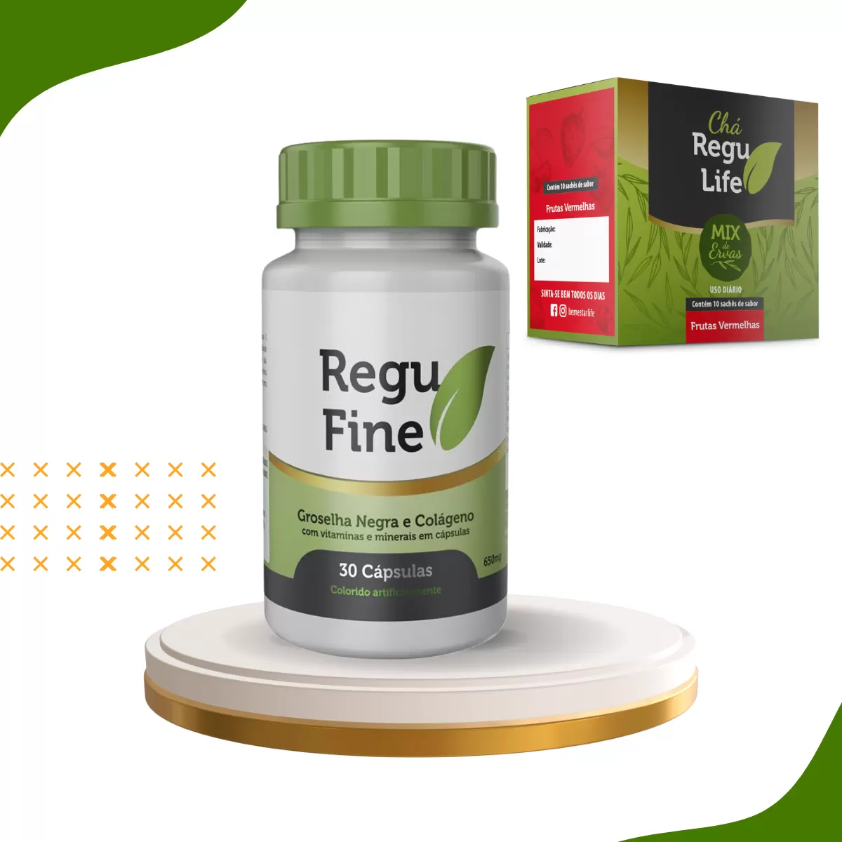 REGU FINE GROSELHA NEGRA- ORIGINAL  + REGU LIFE 10 saches- SABOR FRUTAS VERMELHAS